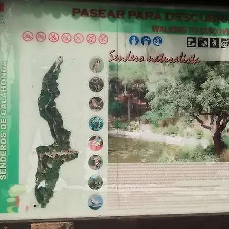 Lägenhet Ansa - Cabopino, - Garden Level