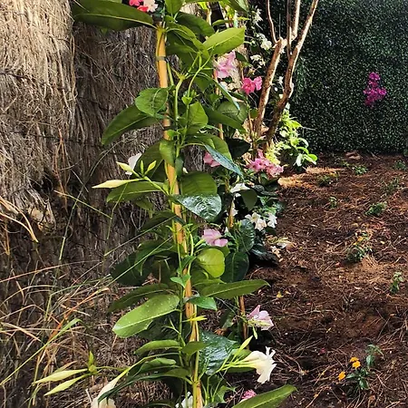 Daire Ansa - Cabopino, - Garden Level *